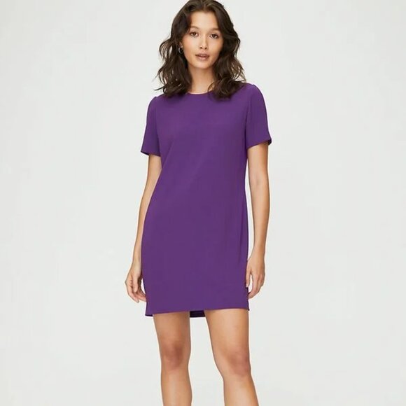 Aritzia mini dress - Patricio - Picture 1 of 3